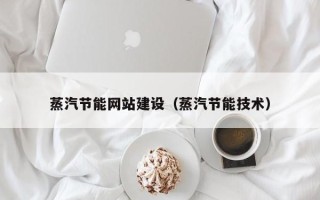 禹城蒸汽节能网站建设（蒸汽节能技术）